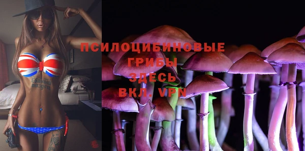 spice Каменка
