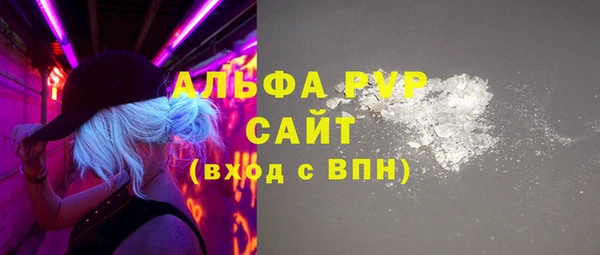 spice Каменка