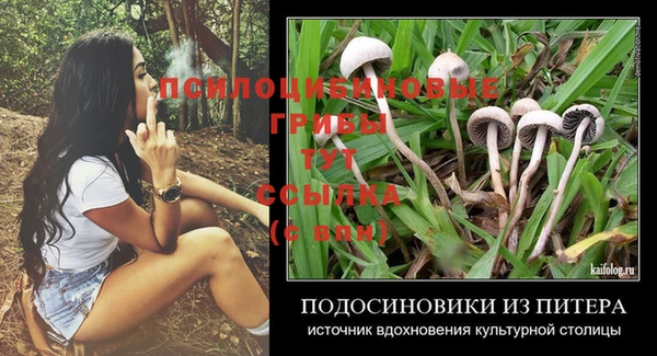spice Каменка