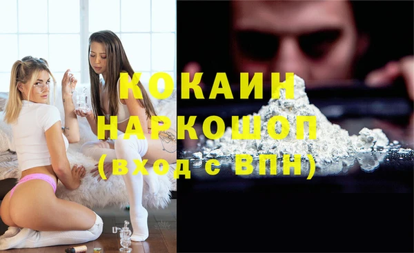spice Каменка