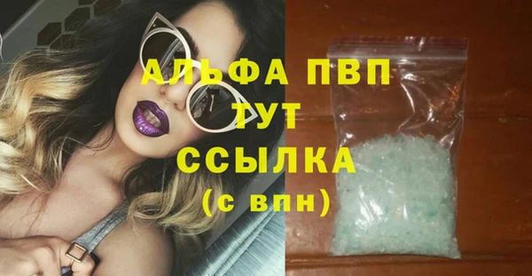 spice Каменка