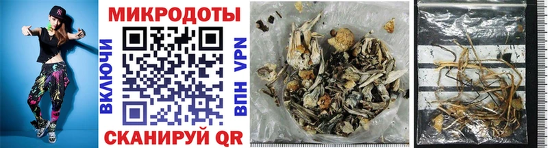 Псилоцибиновые грибы Magic Shrooms  Купить закладки  Камызяк 